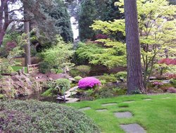 Gardens at Tatton Park, Cheshire. Wallpaper