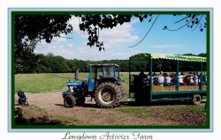 A Jolly ride at Longdown Activity Farm, New Forest, Hampshire.