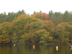 Lake Windermere, taken along the foot path Wallpaper