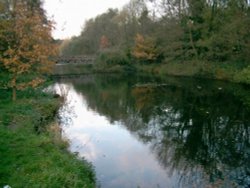 The river Colne, Denham.