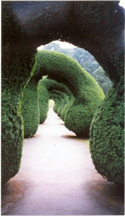 Alton Towers topiary, Staffordshire