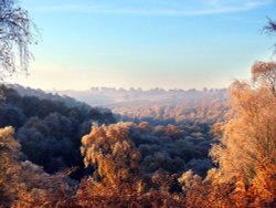 Frosty morning, Sherbrook Valley, Cannock Chase Wallpaper