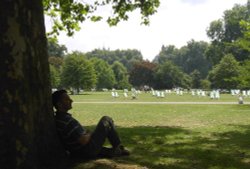 London, an August day in St James's Park Wallpaper