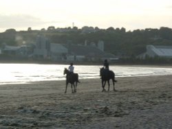 Horses galloping at Parr Sands, Nr St. Austell. Cornwall