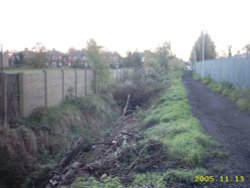 A picture of Gorton Wallpaper