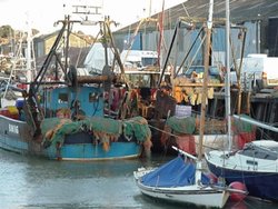 Fishing boats in the harbour. Whitstable, Kent Wallpaper