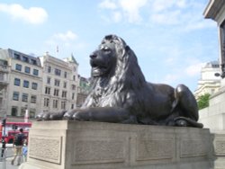 Trafalgar Square: lion Wallpaper