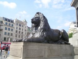 Trafalgar Square: lion