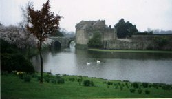 Leeds Castle and swans, view from restaurant, Leeds Castle, Maidstone in Kent Wallpaper
