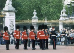 Changing of the Guard, Buckingham Palace, London Wallpaper