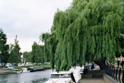 A picture of Ely Wallpaper