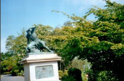 Exeter, Devon Wallpaper