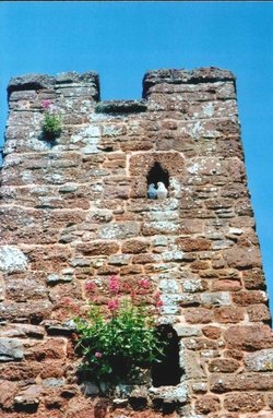 Exeter, Devon