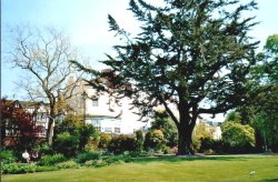 Exmouth, Devon Wallpaper