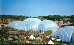 The Eden Project in Bodelva, Cornwall Wallpaper