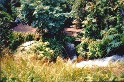 A picture of The Eden Project Wallpaper