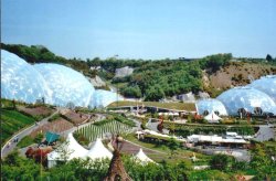 Eden project in Cornwall Wallpaper