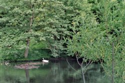Harewood House in West Yorkshire - Lake, June 2005