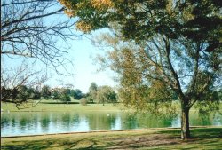 Verulamium Park in St Albans, Hertfordshire Wallpaper