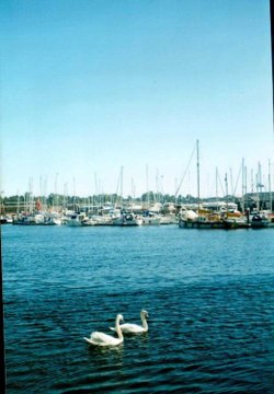 Neptun Quay and Marina in Ipswich, Suffolk