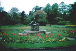 Valley Gardens in Harrogate Wallpaper