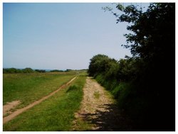 Coastal path, Studland, Dorset. Wallpaper