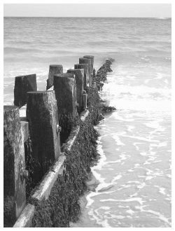A photograph of a Groyne, Swanage, Dorset.