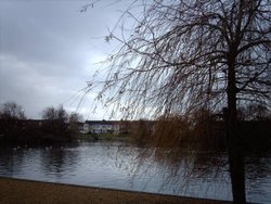 Baffins Pond. Wallpaper