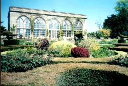 Warwick Castle - Peacock Garden Wallpaper