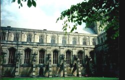 Winchester Cathedral in Winchester Wallpaper