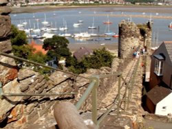A view of Conwy Quay from the Castle Walls Wallpaper