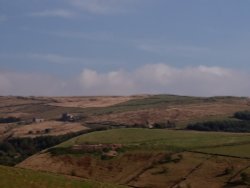 Yorkshire Moor
