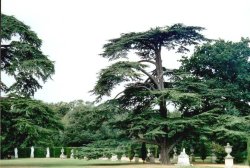 London - Chiswick House, Sept 2002
