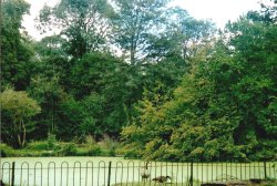 London - Chiswick House, Sept 2002