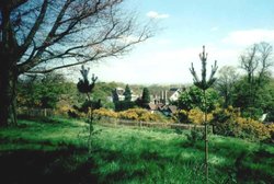 London - a picture of Hampstead Heath