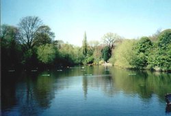 London - a picture of Ponds of Hampstead Heath