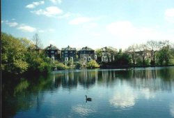 London - a picture of Ponds of Hampstead Heath