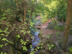 A picture of Bold Venture Park Wallpaper