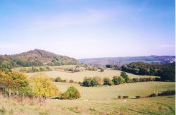 A picture of Mordiford