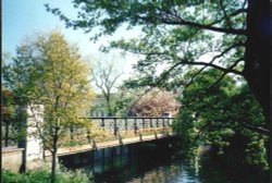 London - Regent`s Park, May 2001 Wallpaper