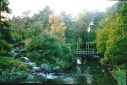 London - Regent`s Park, Sept 2002 Wallpaper