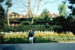 London - Regent`s Park, Queen Mary`s Gardens, May 2001 Wallpaper