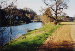 Umberleigh village in summer time. view to the bridge from Warkleigh side of bank