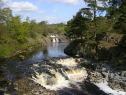 Low Force, at Bowlees on the River Tees, Upper Teesdale, County Durham.