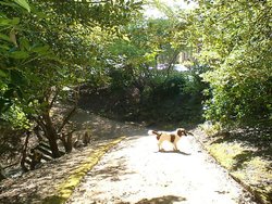 One of the many winding paths in Bold venture Park, Darwen, Lancashire.