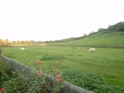View of Brent Knoll village from burton row