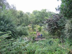 Regents Park , london Wallpaper