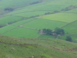 A picture of Hayfield