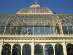 Palm House - Sefton Park, Liverpool Wallpaper