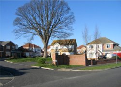 Manor Fields, Pawlett, Somerset Wallpaper